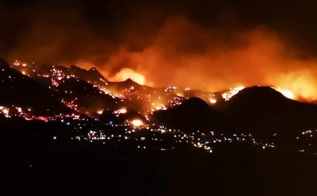 Corse : Une série d'incendies a ravagé plus de 1300 hectares de végétation.