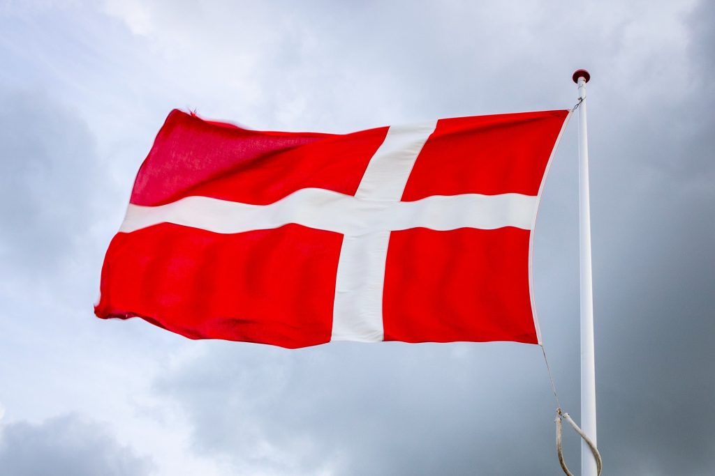 Terrorisme : Le Danemark décide de priver de nationalité les enfants de djihadistes