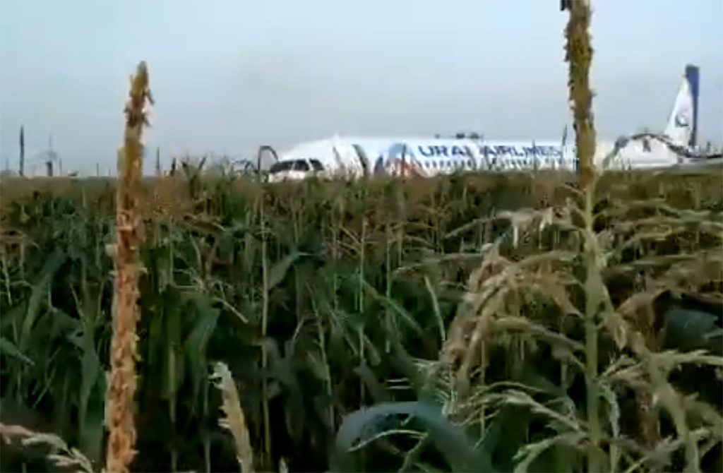 Russie : Un Airbus de la compagnie Ural Airlines atterrit d'urgence dans un champ, au moins 23 blessés