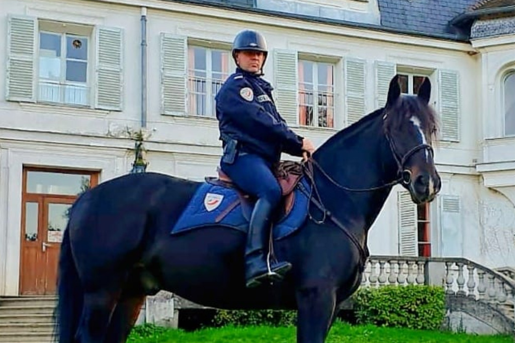 Fontainebleau : 18 mois de prison pour avoir volontairement percuté un policier à cheval