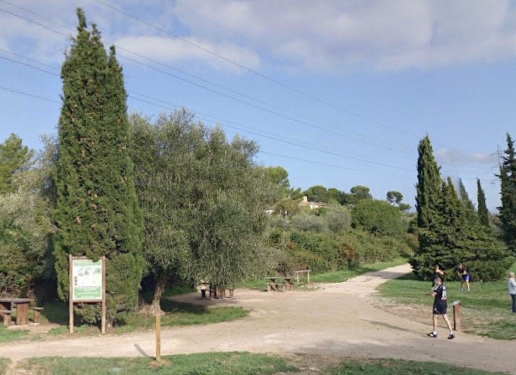 Alpes-Maritimes : Des joggeurs découvrent le corps d'une femme en partie calciné