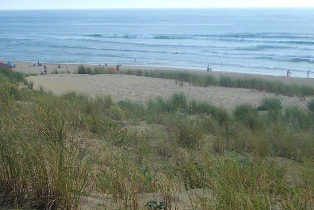 Gironde : Un promeneur découvre 23 kilos de cocaïne enfouis dans le sable sur une plage