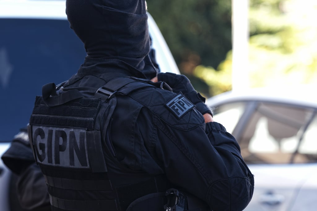 La France condamnée par la CEDH à verser 22 803 € à un plaignant après une intervention du GIPN