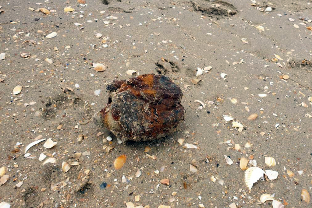 Nord : 2 grenades à main actives neutralisées en urgence sur une plage à Zuydcoote