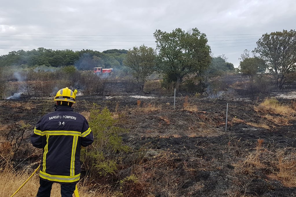Hérault : Un braqueur incendie une voiture volée et met le feu à 3 hectares de pinède à Frontignan