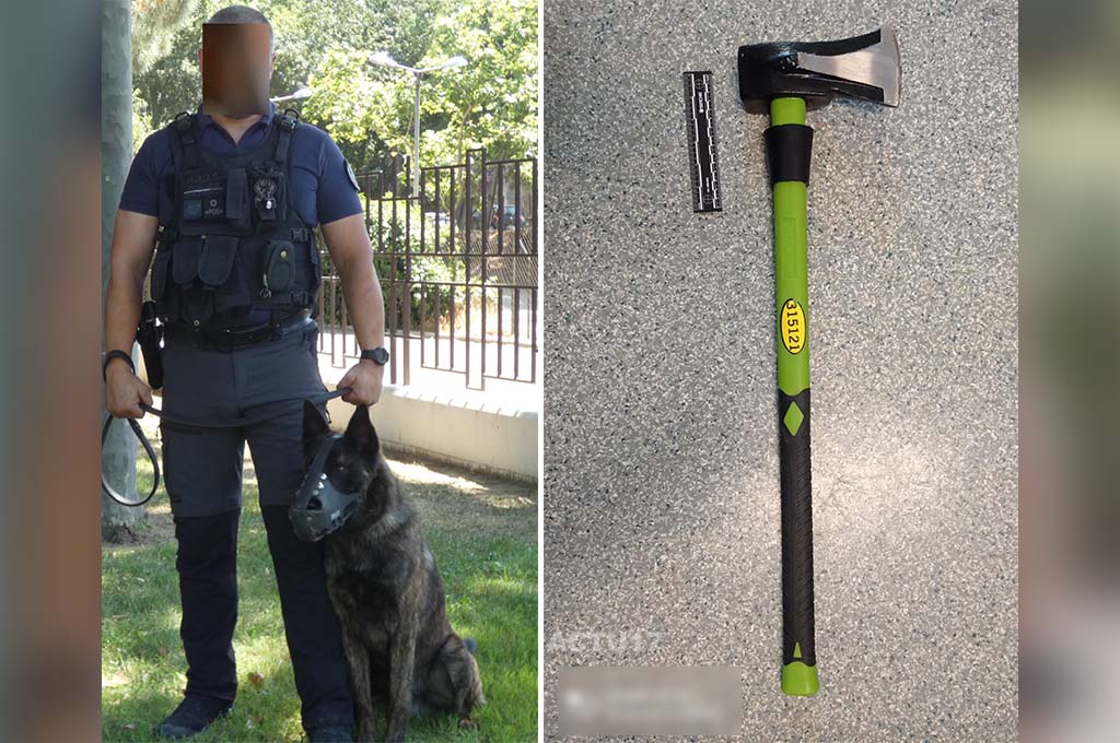 Perpignan : Il menace les forces de l'ordre avec une hache, le chien policier le maîtrise