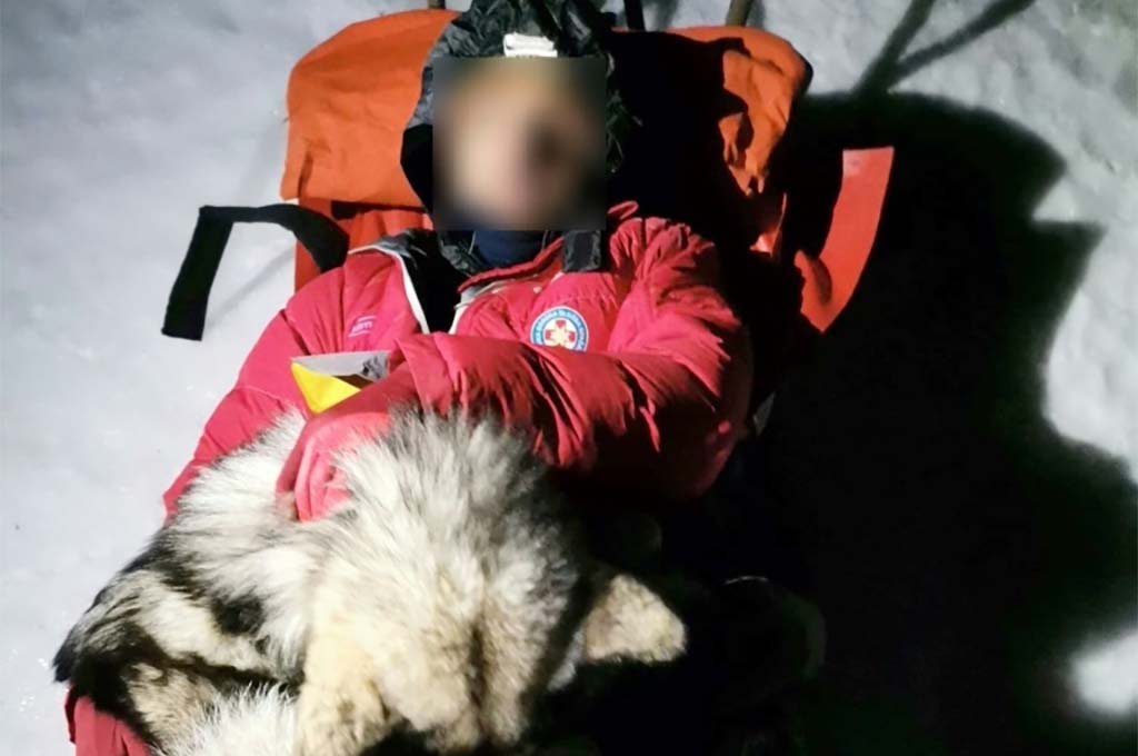 Un chien sauve un randonneur dans la montagne croate en le réchauffant durant 13 heures