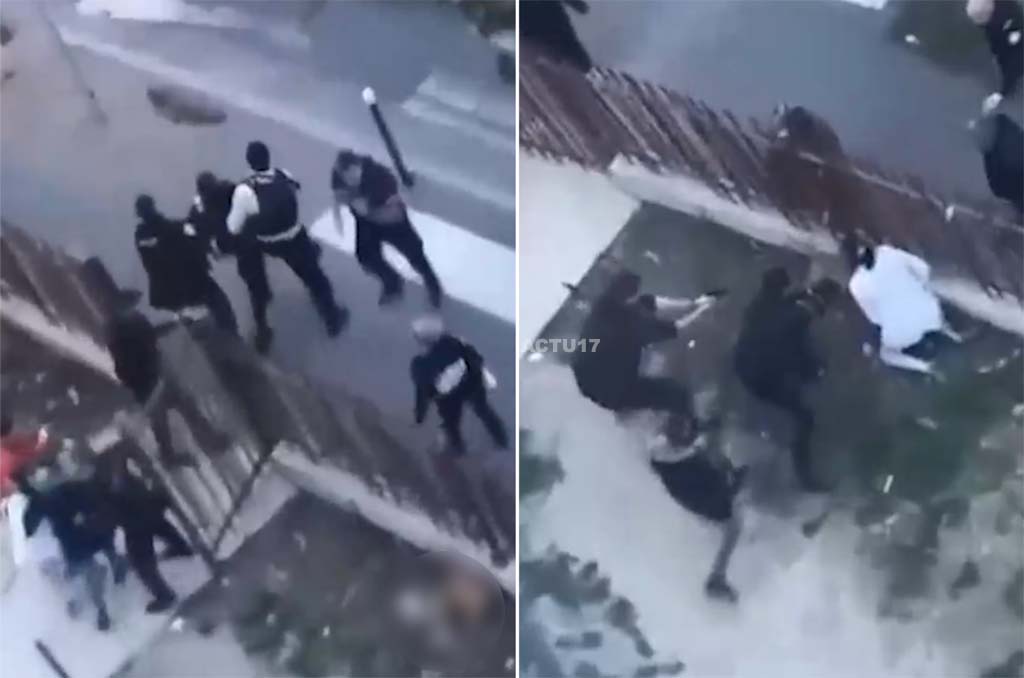 Champigny-sur-Marne : Deux adolescentes blessées par un molosse dans la rue, les policiers l'abattent