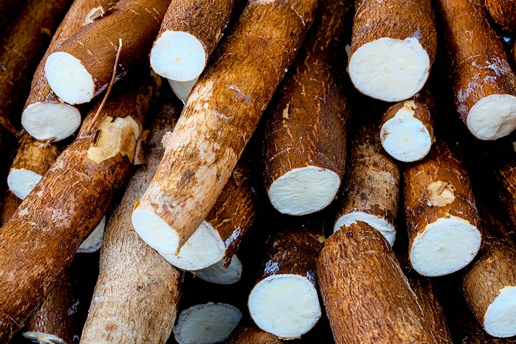 Essonne : Elle découvre de la cocaïne dans du manioc acheté au supermarché, 4,5 kg de drogue saisis