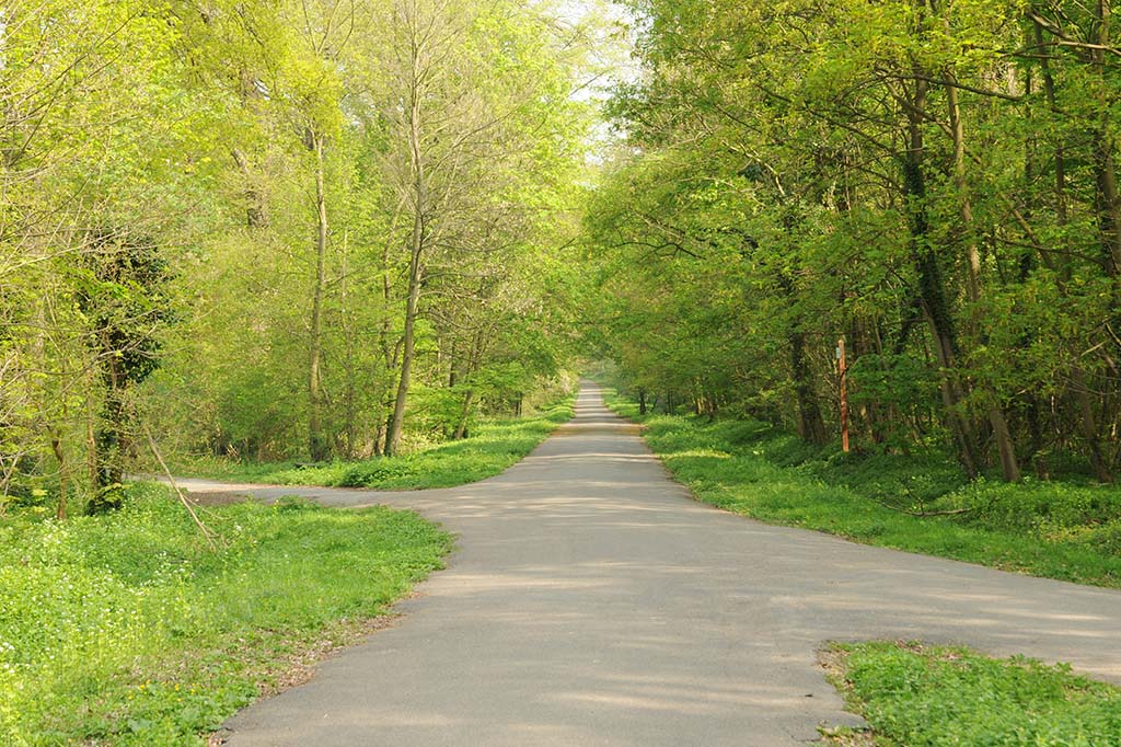 Saint-Germain-en-Laye : Les corps sans vie de deux ados de 15 ans découverts en lisière de forêt