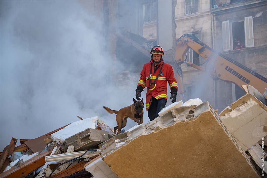 Immeuble effondré à Marseille : un cinquième corps découvert, les recherchent se poursuivent