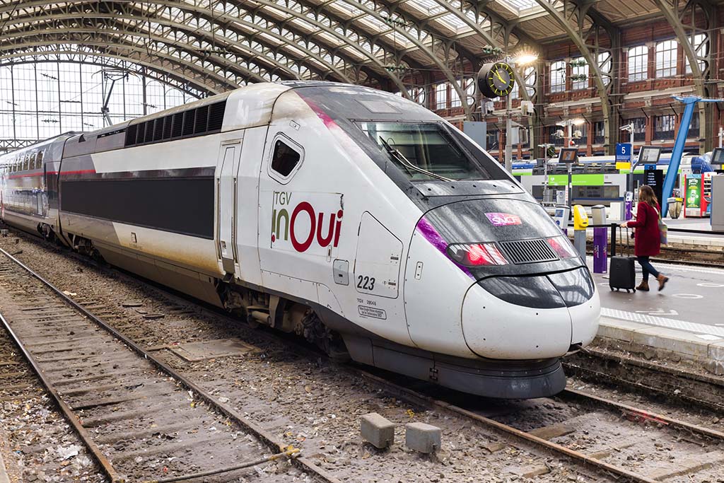Nord : Un couple interpellé après une fausse alerte terroriste en gare de Lille Europe