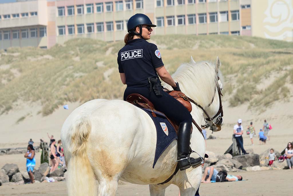 Marseille : Alors qu'il va être interpellé, un homme poignarde le cheval d'un policier