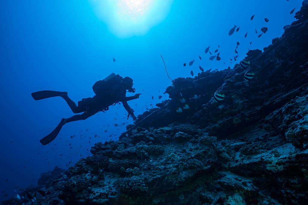 30 ans après, les corps de deux plongeurs retrouvés au large de Nice