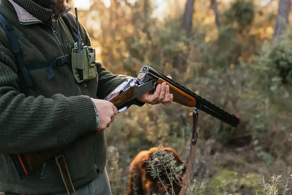 Loire : Un chasseur de 42 ans tué par balle lors d'une battue aux sangliers dans le Forez