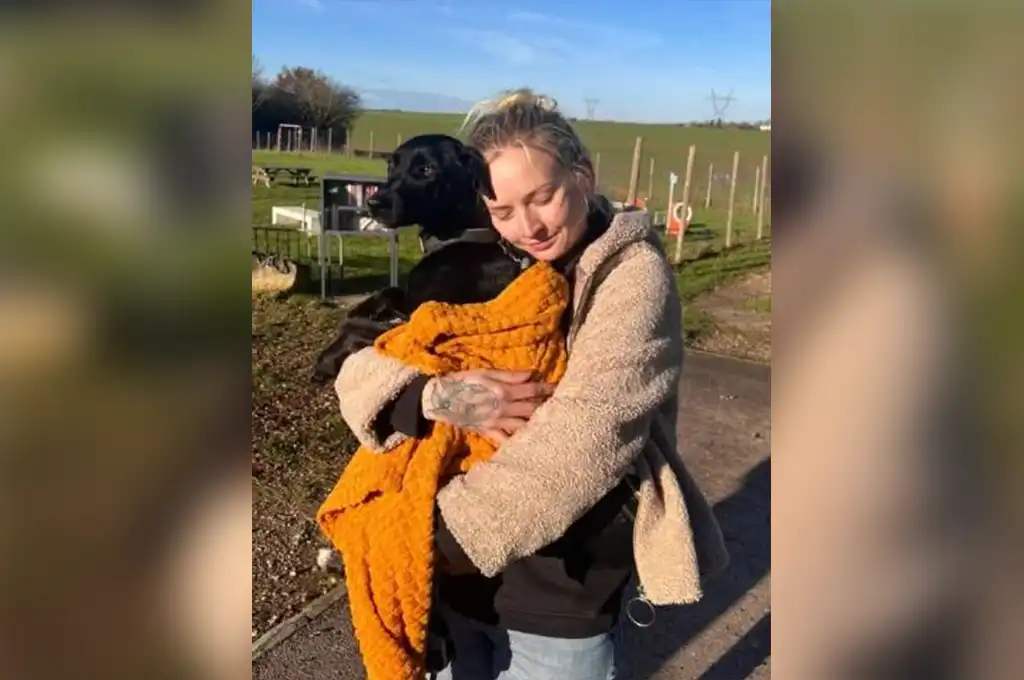 Amalka, la chienne perdue à l’aéroport Roissy Charles-de-Gaulle, retrouvée neuf jours après