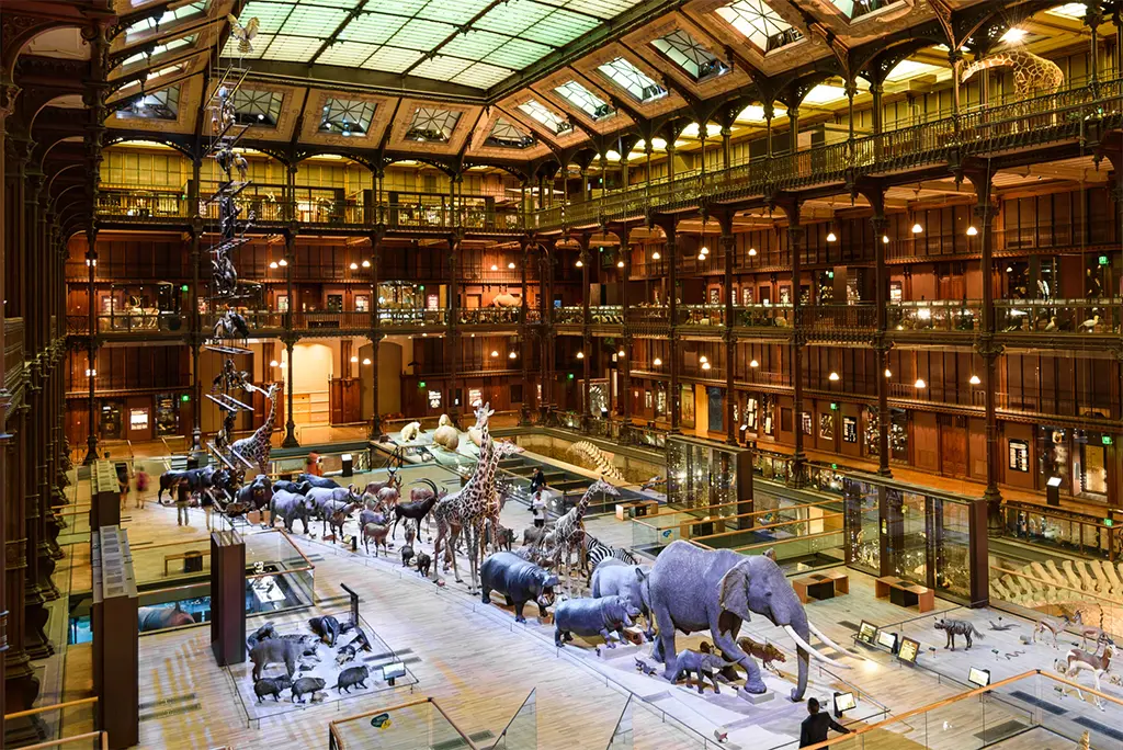 INFO ACTU17. Paris : Cambriolage nocturne au Muséum d'Histoire naturelle, le butin estimé à 600 000 €