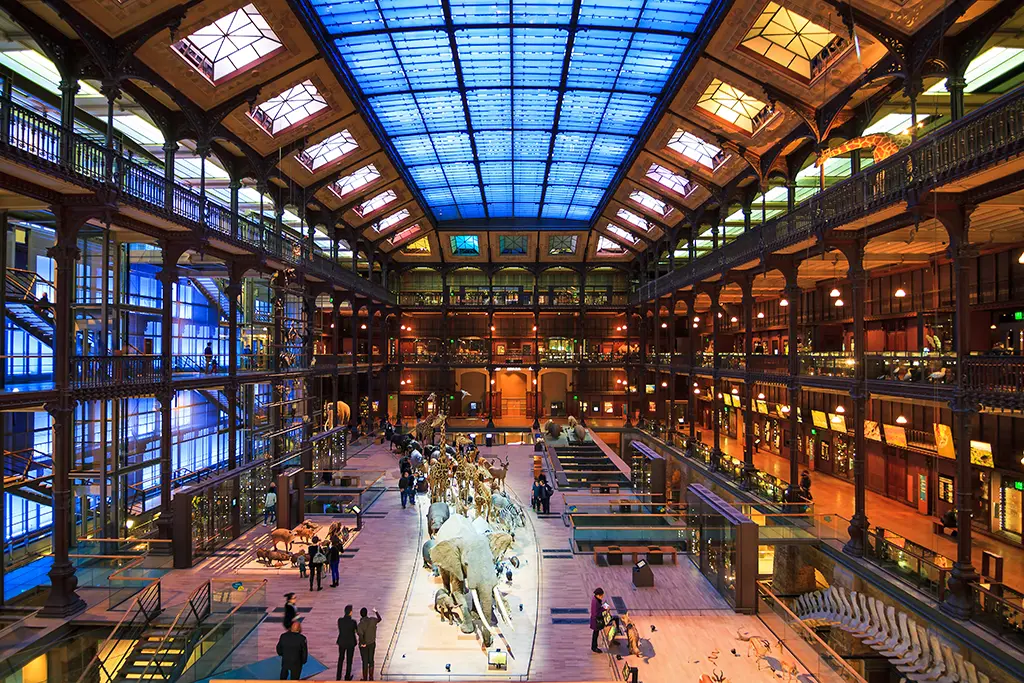 Vol d'or au Muséum d'histoire naturelle à Paris : une Chinoise de 24 ans mise en examen et écrouée