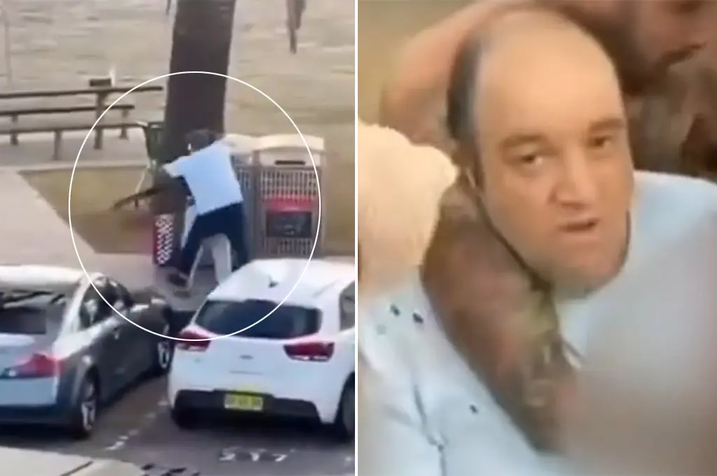 Attentat à Sydney : qui est Ahmed al-Ahmed, l'homme qui a désarmé l'un des tireurs ?