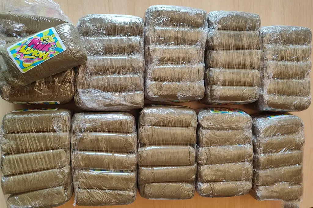 Montreuil : Il prend la fuite à la vue des policiers, près de 5 kg de cannabis saisis