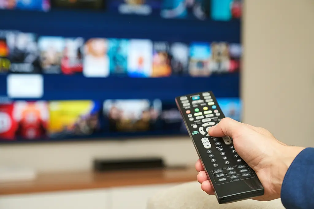 IPTV : Le réseau de piratage de chaînes payantes Noos + démantelé, onze interpellations