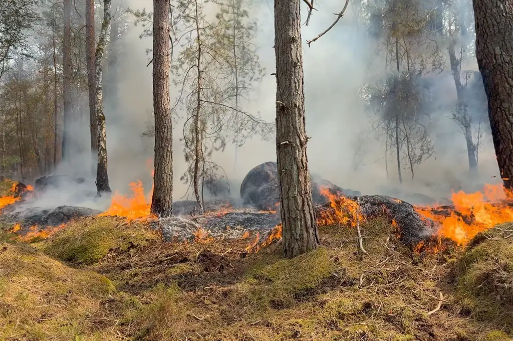 Incendies de Fontainebleau : un pompier volontaire reconnaît avoir allumé un feu avec un briquet et de l'essence