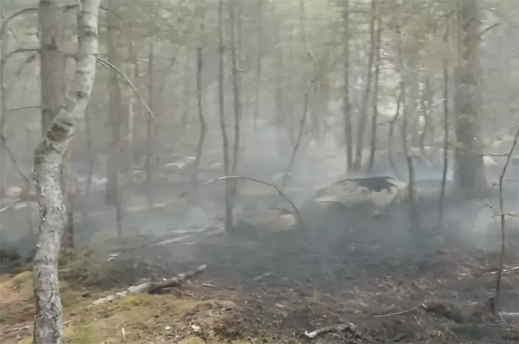 Incendies de Fontainebleau : un étudiant et un pompier volontaire déférés, le parquet va requérir leur placement en détention