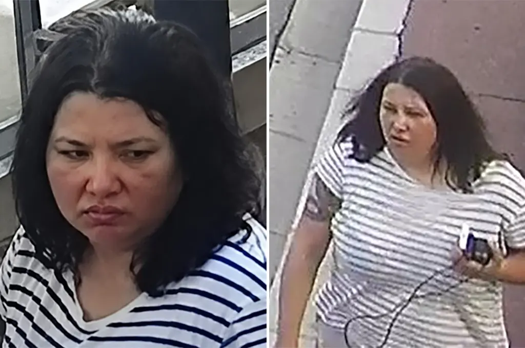 Explosion à Monaco : qui est Anastasiia Berezovska, la suspecte ukrainienne identifiée en «48 heures»